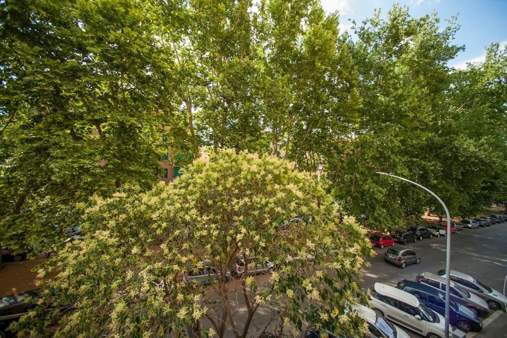Appartamento Great In Great Location -