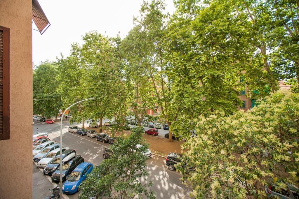 Appartamento Great In Great Location - Roma